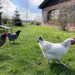 Fuenf Apartment